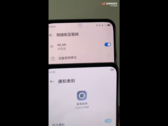 L'"Axon 30" (davanti) contro il 20 (dietro). Fonte: Weibo