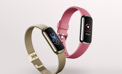 Il Fitbit Luxe ora supporta una misurazione AoD e SpO2. (Fonte immagine: Fitbit)