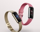 Il Fitbit Luxe ora supporta una misurazione AoD e SpO2. (Fonte immagine: Fitbit)