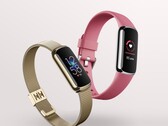 Il Fitbit Luxe ora supporta una misurazione AoD e SpO2. (Fonte immagine: Fitbit)