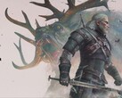 Immagine tratta da The Witcher 3: Wild Hunt.