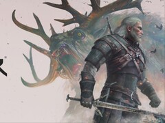 Immagine tratta da The Witcher 3: Wild Hunt.