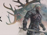Immagine tratta da The Witcher 3: Wild Hunt.