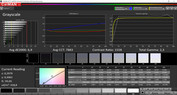 CalMAN scala di grigi – Adobe RGB