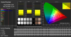 CalMAN - Color Checker (calibrato)