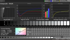 Scale di grigio CalMAN