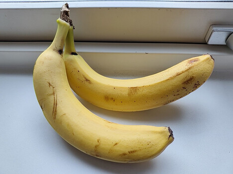 Registrazione con la fotocamera principale