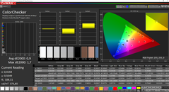 CalMAN ColorChecker (calibrato)