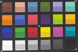 X-Rite ColorChecker Passport: ColorChecker: la parte inferiore di ciascun campo indica il colore target.