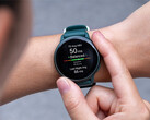 Il Vivoactive 6 ha ricevuto tre aggiornamenti con le stesse modifiche nelle ultime settimane. (Fonte: Garmin)