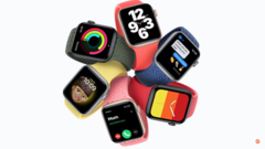 L'Apple Watch sta andando piuttosto bene. (Fonte: Apple)