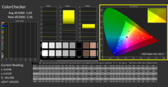 Calman Color Checker calibrato