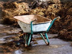 C'è del valore nel letame e nel liquame, basta tirarlo fuori. (pixabay/Antranias)