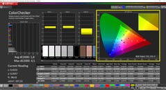 CalMAN ColorChecker (profilo: sRGB, spazio colore di destinazione: sRGB)