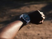 Il Garmin Forerunner 955 ha ricevuto l'aggiornamento alla versione 16.09 della Beta pubblica. (Fonte: Garmin)