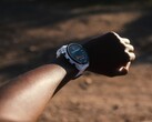 Il Garmin Forerunner 955 ha ricevuto l'aggiornamento alla versione 16.09 della Beta pubblica. (Fonte: Garmin)