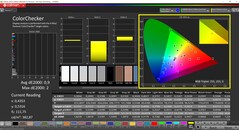 CalMAN ColorChecker (profilo: predefinito, spazio colore di destinazione: P3)