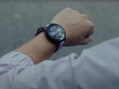 La serie Forerunner 165 è disponibile in due varianti e un totale di sei SKU. (Fonte: Garmin)