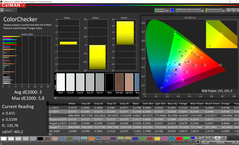 CalMAN ColorChecker (gamma di colore target P3)