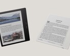 Boox Go Color 7 (Gen II) e Boox Go 7 sono lettori E Ink alimentati da Android. (Fonte: Boox)