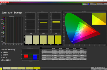 Saturazione (colore dello schermo standard [in basso], spazio colore target sRGB)