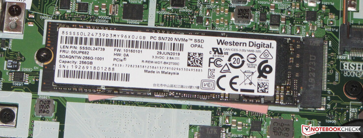 Viene usato un SSD come drive di sistema.