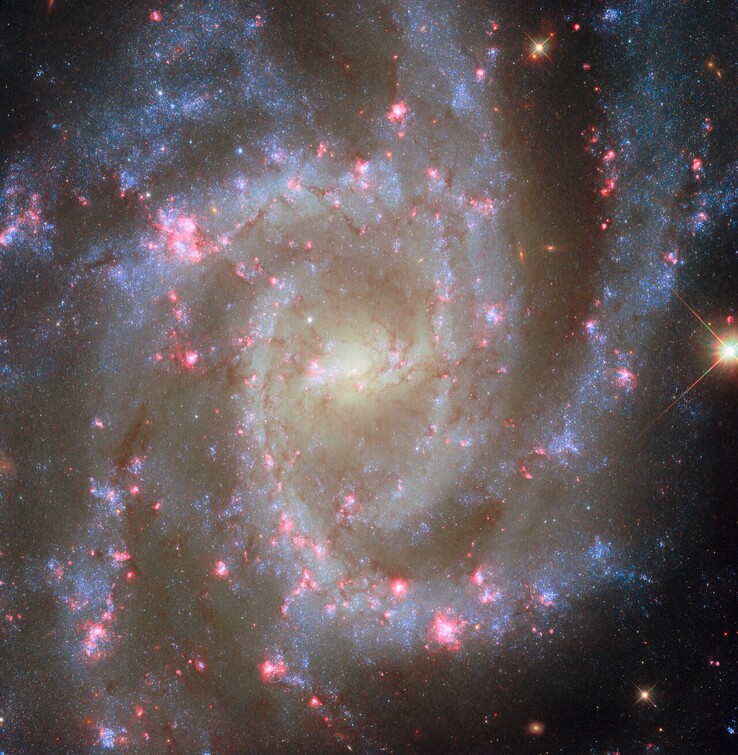 L'immagine POTW di NGC 2835 (Fonte immagine: ESA, NASA, R. Chandar, J. Lee e il team PHANGS-HST)