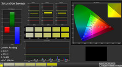 CalMAN: Saturation Sweeps (calibrato)