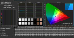 CalMan ColorChecker calibrato