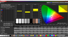 CalMAN ColorChecker calibrato (spazio colore target: AdobeRGB)