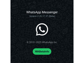 Uno splash screen con uno sfondo verde occupato e il logo di WhatsApp che menziona il numero dell'ultima build beta. (Fonte immagine: @WABetaInfo su X)
