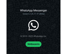 Uno splash screen con uno sfondo verde occupato e il logo di WhatsApp che menziona il numero dell'ultima build beta. (Fonte immagine: @WABetaInfo su X)