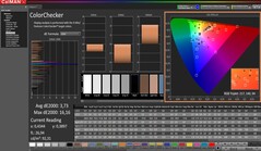 CalMAN: ColorChecker (calibrato)