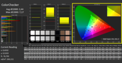 CalMAN - Color Checker (calibrato)