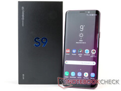 Insomma la speranza è l'ultima a morire