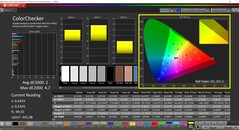 CalMAN ColorChecker calibrato
