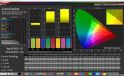 CalMAN precision del colore sRGB