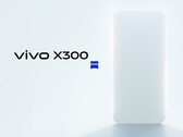 Finora Vivo ha mostrato solo una silhouette del Vivo X300. (Fonte immagine: Vivo - modificato)