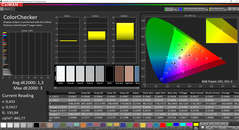 CalMAN ColorChecker (spazio colore target P3)