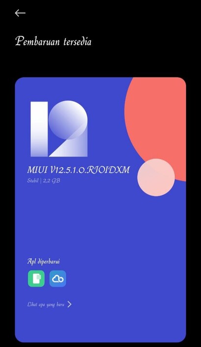 MIUI 12.5 per l'indonesiano Redmi Note 9.