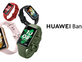 Il Huawei Band 7 sarà disponibile in quattro colori, tutti con un involucro più sottile e leggero rispetto al Band 6. (Fonte: Huawei)