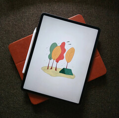 iPadOS 15.4 è in distribuzione su vari iPad, compreso l'iPad Pro 11. (Fonte: Tony Sebastian)