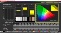 CalMAN ColorChecker (Profilo: P3, Spazio colore di destinazione: P3)