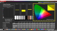 CalMAN ColorChecker (profilo: sRGB, spazio colore di destinazione: sRGB)