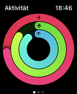 Tre anelli di attività per i movimenti (rosso), gli allenamenti (verde) e la posizione eretta (blu).