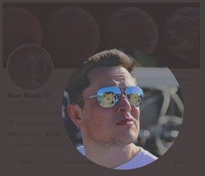 Elon Musk è stato un importante sostenitore di Dogecoin. (Fonte immagine: @elonmusk)