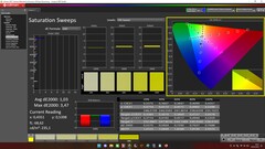 CalMAN: saturazione (calibrata)