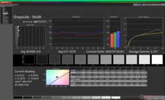 Scala di grigi dopo la calibrazione