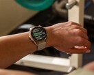 Il Fenix 8 è uno dei numerosi smartwatch in linea per l'aggiornamento stabile v17.xx. (Fonte: Garmin)