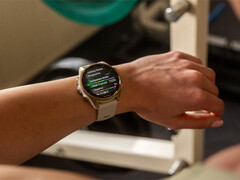 Il Fenix 8 è uno dei numerosi smartwatch in linea per l&#039;aggiornamento stabile v17.xx. (Fonte: Garmin)
